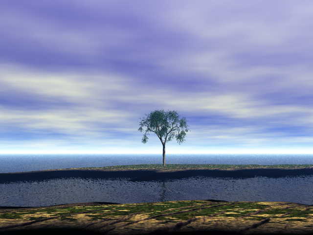 A tree on an opposite shoreline.